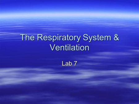 The Respiratory System & Ventilation