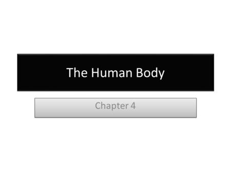 The Human Body Chapter 4. The Planes of the Body Anterior Posterior Midline Midclavicular line Midaxillary Anterior Posterior Midline Midclavicular line.