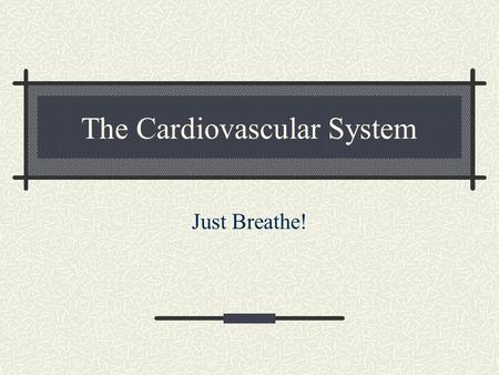 The Cardiovascular System Just Breathe!. Functions of the Cardiovascular System Comprised of the heart and all of the blood vessels It circulates the.