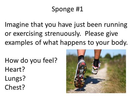 Sponge #1 Imagine that you have just been running or exercising strenuously. Please give examples of what happens to your body. How do you feel? Heart?