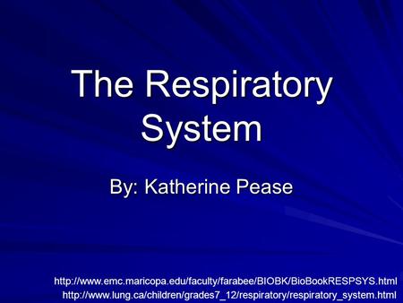 The Respiratory System By: Katherine Pease