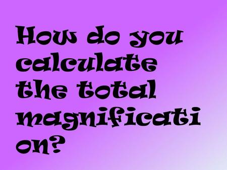 How do you calculate the total magnification?