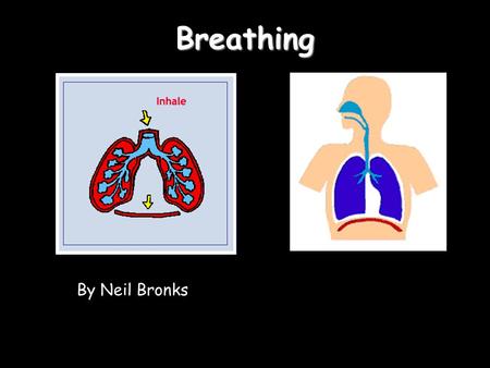Breathing By Neil Bronks. 09:55Breathing The big muscle that pulls the lungs down and pushes out the air is called the diaphragm The rib muscles help.
