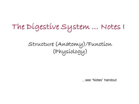 The Digestive System … Notes I