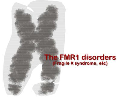 The FMR1 disorders (Fragile X syndrome, etc). Mary Beth Busby founding board member of the Fragile X Research Foundation (FRAXA) Walter Kaufmann Director,