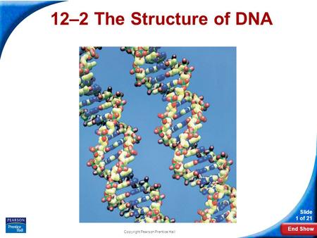 End Show Slide 1 of 21 Copyright Pearson Prentice Hall 12-2 Chromosomes and DNA Replication 12–2 The Structure of DNA.