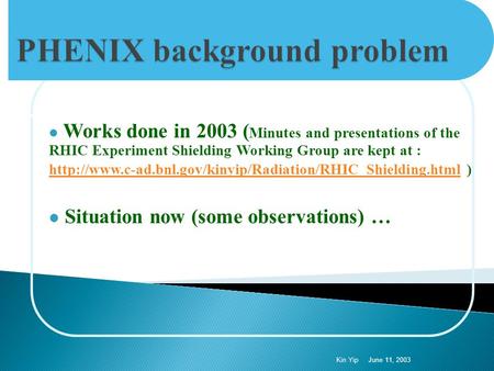 Works done in 2003 ( Minutes and presentations of the RHIC Experiment Shielding Working Group are kept at :
