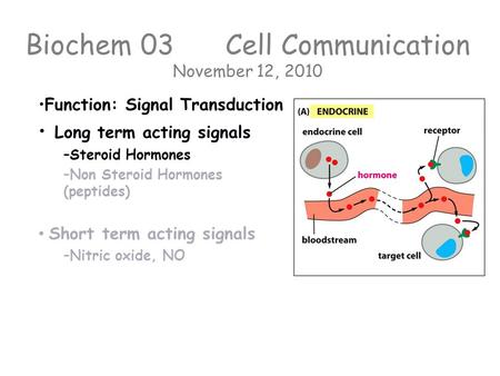 Biochem 03 Cell Communication November 12, 2010 Function: Signal Transduction Long term acting signals – –Steroid Hormones – –Non Steroid Hormones (peptides)