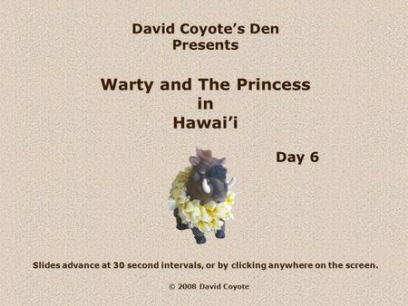 © 2008 David Coyote David Coyote’s Den Presents Warty and The Princess in Hawai’i Slides advance at 30 second intervals, or by clicking anywhere on the.