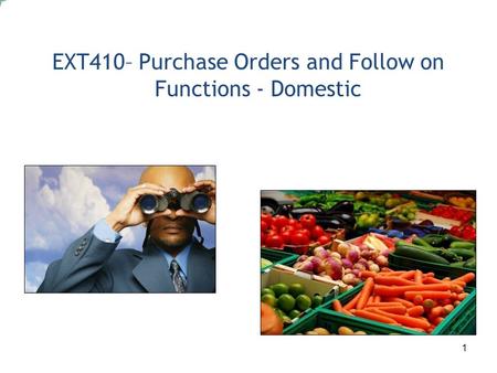 1 EXT410– Purchase Orders and Follow on Functions - Domestic.