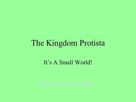 The Kingdom Protista It’s A Small World! Click here to see a live protist.