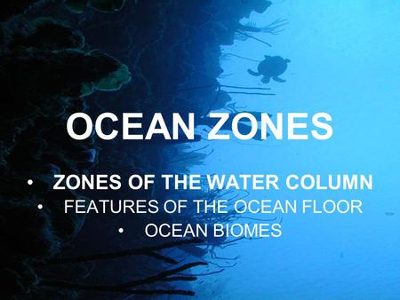 OCEAN ZONES ZONES OF THE WATER COLUMN FEATURES OF THE OCEAN FLOOR OCEAN BIOMES.