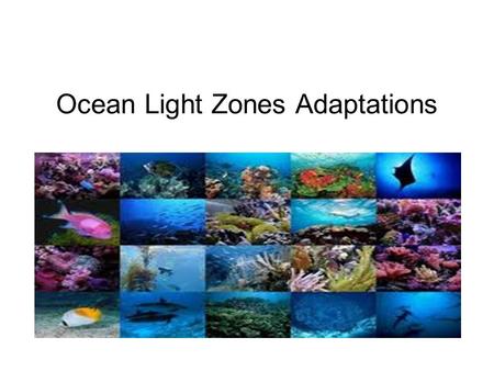 Ocean Light Zones Adaptations