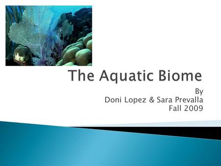 By Doni Lopez & Sara Prevalla Fall 2009. Come join me in a tour of my home, the Aquatic biome. While the ocean makes up about 72% and freshwater is 3%