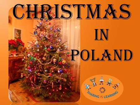 CHRISTMAS IN POLAND. Before Christmas Christmas Tree In Poland before Christmas people decorate the tree with handmade Christmas balls, lights and ornamentation.