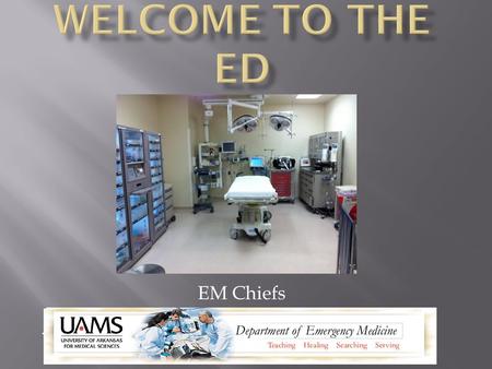 EM Chiefs.  We’re glad you are here  This purpose of this presentation is to provide helpful information for your new role as an emergency medicine.