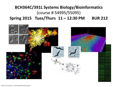 BCH364C/391L Systems Biology/Bioinformatics (course # 54995/55095) Spring 2015 Tues/Thurs 11 – 12:30 PM BUR 212 Edward Marcotte/Univ. of Texas/BCH391L/Spring.