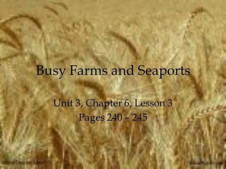 Busy Farms and Seaports
