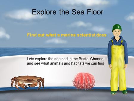 Explore the Sea Floor Find out what a marine scientist does Lets explore the sea bed in the Bristol Channel and see what animals and habitats we can find.