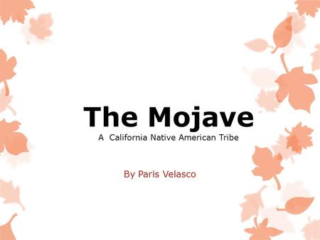 The Mojave A California Native American Tribe