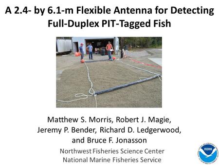 A 2.4- by 6.1-m Flexible Antenna for Detecting Full-Duplex PIT-Tagged Fish Matthew S. Morris, Robert J. Magie, Jeremy P. Bender, Richard D. Ledgerwood,