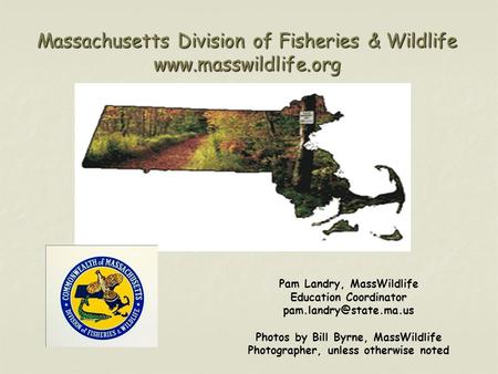 Massachusetts Division of Fisheries & Wildlife  Pam Landry, MassWildlife Education Coordinator Photos by Bill.