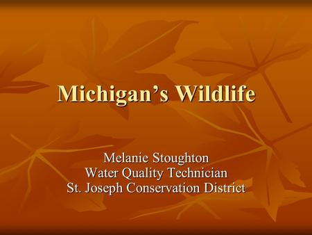 Michigan’s Wildlife Melanie Stoughton Water Quality Technician St. Joseph Conservation District.