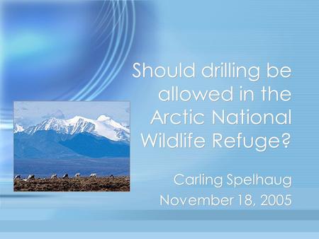 Should drilling be allowed in the Arctic National Wildlife Refuge? Carling Spelhaug November 18, 2005 Carling Spelhaug November 18, 2005.