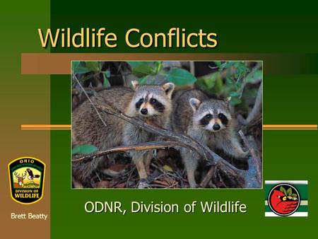 Wildlife Conflicts ODNR, Division of Wildlife Brett Beatty.