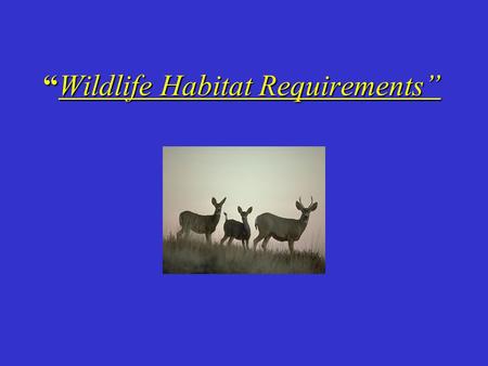 “Wildlife Habitat Requirements” What is Wildlife Habitat? The kind of place where an… –Animal –Bird –Fish –or plant live in a natural state.
