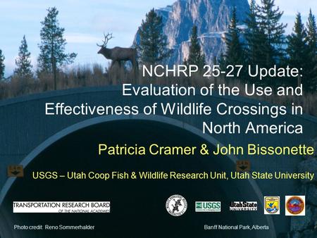 Photo credit: Reno SommerhalderBanff National Park, Alberta NCHRP 25-27 Update: Evaluation of the Use and Effectiveness of Wildlife Crossings in North.