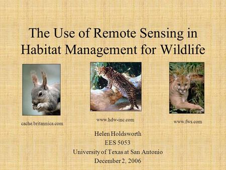The Use of Remote Sensing in Habitat Management for Wildlife Helen Holdsworth EES 5053 University of Texas at San Antonio December 2, 2006 www.hdw-inc.com.