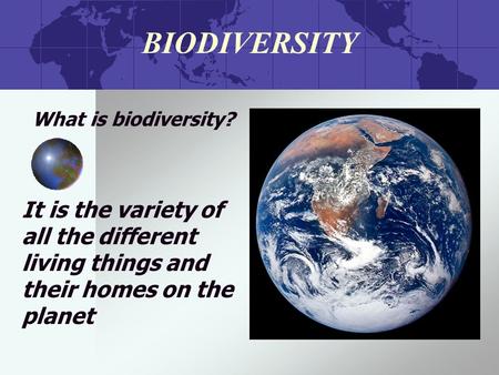BIODIVERSITY What is biodiversity? It is the variety of all the different living things and their homes on the planet.