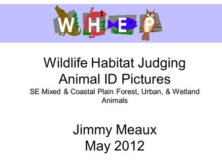 Wildlife Habitat Judging Animal ID Pictures SE Mixed & Coastal Plain Forest, Urban, & Wetland Animals Jimmy Meaux May 2012.