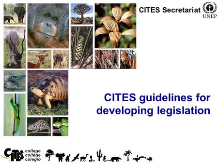 1 CITES guidelines for developing legislation CITES Secretariat.