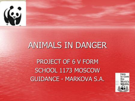 PROJECT OF 6 V FORM SCHOOL 1173 MOSCOW GUIDANCE - MARKOVA S.A.