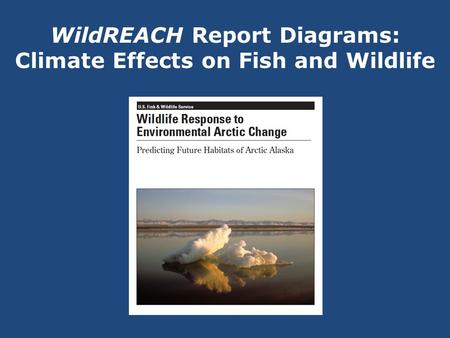 WildREACH Report Diagrams: Climate Effects on Fish and Wildlife.