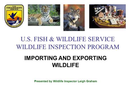 U.S. FISH & WILDLIFE SERVICE WILDLIFE INSPECTION PROGRAM IMPORTING AND EXPORTING WILDLIFE Presented by Wildlife Inspector Leigh Graham.