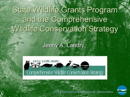 State Wildlife Grants Program and the Comprehensive Wildlife Conservation Strategy Jenny A. Landry.