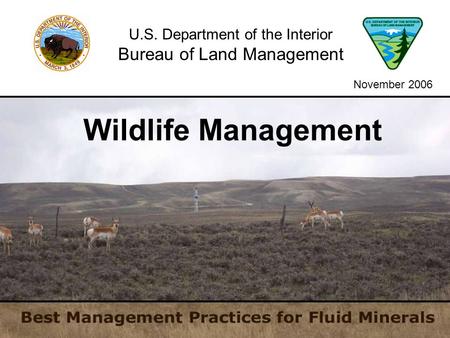U.S. Department of the Interior Bureau of Land Management Wildlife Management November 2006.