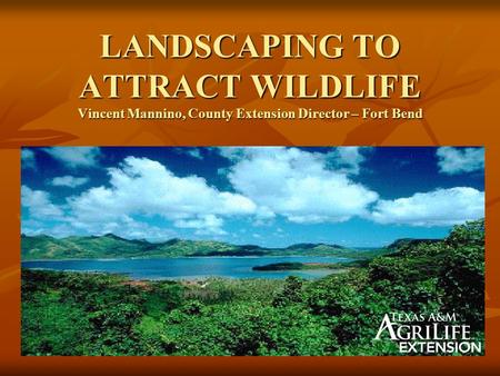 LANDSCAPING TO ATTRACT WILDLIFE Vincent Mannino, County Extension Director – Fort Bend.