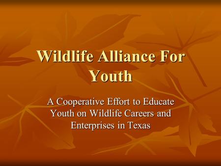 Wildlife Alliance For Youth A Cooperative Effort to Educate Youth on Wildlife Careers and Enterprises in Texas.