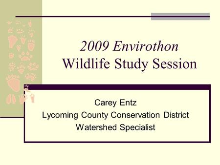 2009 Envirothon Wildlife Study Session Carey Entz Lycoming County Conservation District Watershed Specialist.