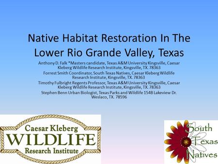 Native Habitat Restoration In The Lower Rio Grande Valley, Texas Anthony D. Falk *Masters candidate, Texas A&M University Kingsville, Caesar Kleberg Wildlife.