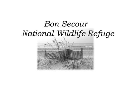 Bon Secour National Wildlife Refuge. The Bon Secour NWR consists of 6,700 acres of wildlife habitat lying directly west of Gulf Shores, Alabama on the.