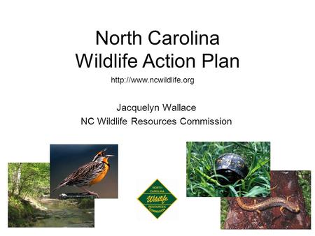 North Carolina Wildlife Action Plan  Jacquelyn Wallace NC Wildlife Resources Commission.