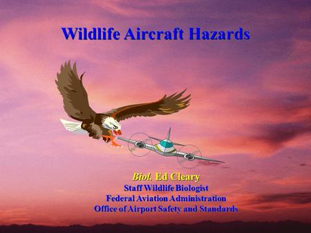 Wildlife Aircraft Hazards Wildlife Aircraft Hazards Biol. Ed Cleary Staff Wildlife Biologist Federal Aviation Administration Office of Airport Safety and.