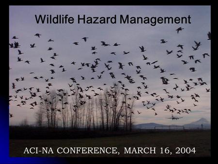 2007 - www.aerohabitat.org Wildlife Hazard Management ACI-NA CONFERENCE, MARCH 16, 2004.