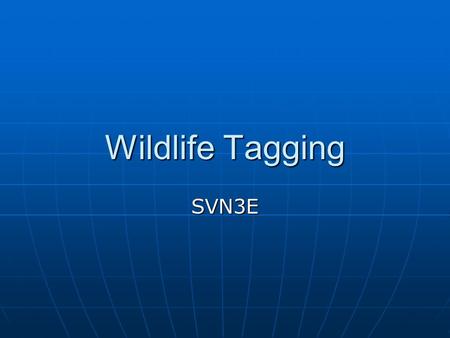 Wildlife Tagging SVN3E. Sampling Wildlife It can be difficult to make an exact count of the populations of animals, birds, and fish that move around their.