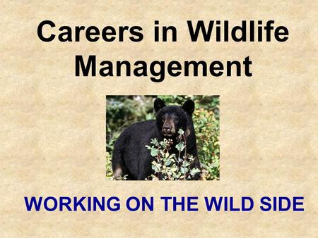 Careers in Wildlife Management WORKING ON THE WILD SIDE.